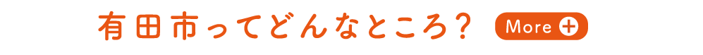 有田市ってどんなところ？